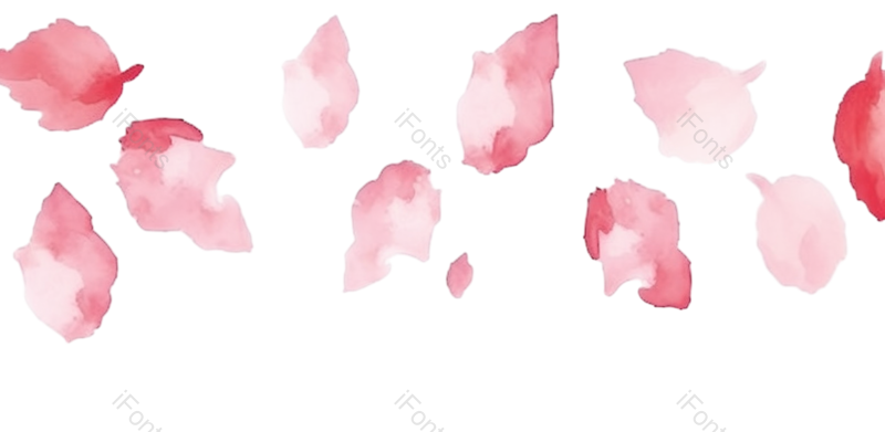 白色背景图片,花瓣元素,樱花PNG,免抠素材